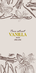 Vanilla vector vertical banner template
