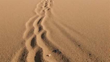 Sand Dune Ridge with Footprints - A Desert Landscape.