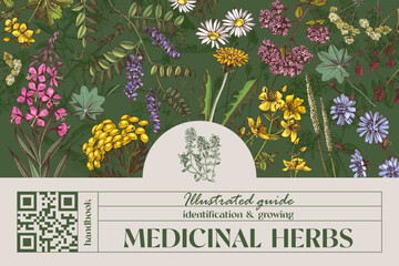 Medicinal plants and herbs banner