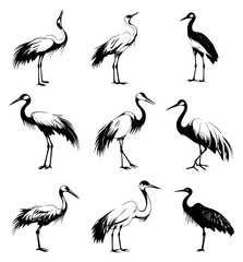 Fototapeta premium Hand drawn crane birds set featuring elegant line art illustrations for oriental culture