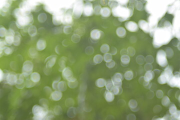 Natural green and white bokeh background with soft light circles for abstract designs. © Aliioss