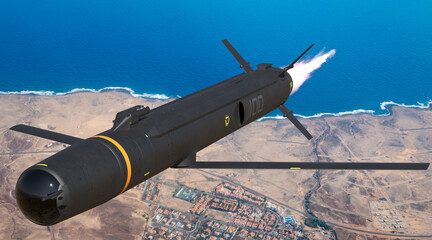 vision of a low-cost, medium-range turbojet-powered cruise missile.3D rendering.