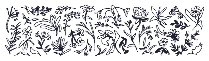 Floral doodles, black ink drawings set. Botanical elements, flowers and plants drawn with charcoal, pencil, rough strokes, simple line sketch. Flat vector illustration isolated on white background