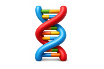 Colorful dna helix icon for science and educational designs