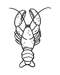 Minimalist hand-drawn lobster in line art style. Vector illustration for seafood branding, tattoos, logos, prints, and marine-themed designs.