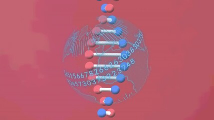 Dna structure spinning and binary coding data processing on over a globe against pink background - Powered by Adobe