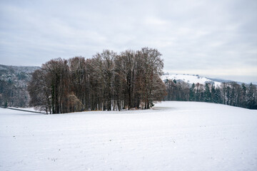 Winter landscape in styria, austria