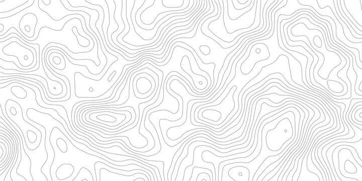 Topography background. Vector banner. Topography map background. Vector geographic contour map. Background of the topographic map. Topographic map lines, contour background. 