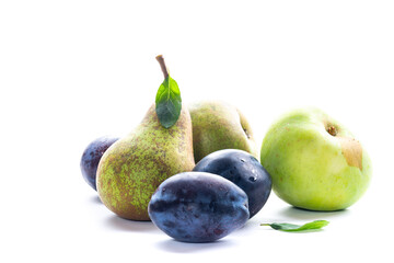 Natural pear and plum fruits in studio photography © Peredniankina