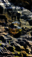 water reflection in water