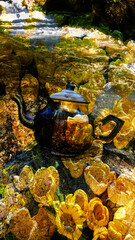 golden coins in a pot