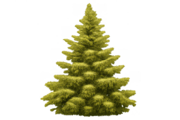 Green fir tree standing, presenting coniferous foliage, evergreen plant for nature and holiday themes on transparent background