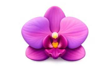 Exotic orchid icon with simple composition for floral art and design