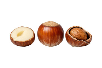 Studio photograph of hazelnuts arranged side by side, featuring a sliced hazelnut with smooth creamy interior, a whole nut with rich brown shell, and a cracked shell revealing the textured kernel