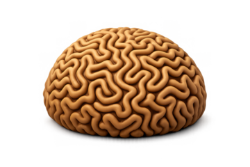 Brain coral icon vector illustration for ocean theme design and decor