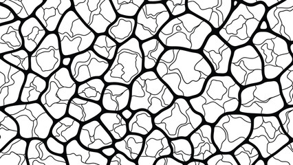 Black and white image of cracked pattern
