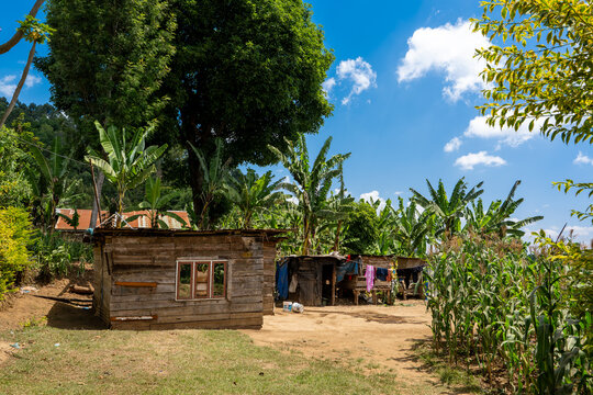 Hut in Arusha eco banana farm