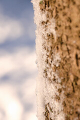 linia sniegu © boss