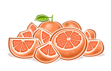 Vector Pink Grapefruit Still Life