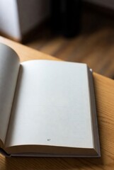 This is a famous 2025 internet meme: an open book with completely blank pages, turned to page 67.