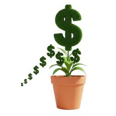 Dollar sign plant in pot
