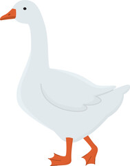 Domestic cute goose illustration. Farm animal isolated on transparent background