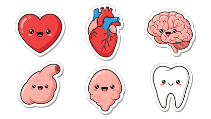 Cheerful Cartoon Human Anatomy Stickers for Medical Learning and Health Awareness Fun