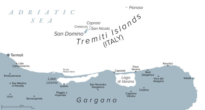 Tremiti Islands, Italy, gray political map. An archipelago in the Adriatic Sea, north of Gargano Peninsula, composed of the five islands San Domino, San Nicola, Capraia, Cretaccio, and Pianosa. Vector
