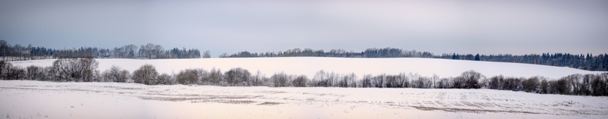 panorama landscape in white winter with snow covered fields, long tree lines and hill