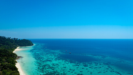 Fototapeta premium Aerail view with green forest island and the sea. natural ecosystems of forests in the oceans travel holiday concept