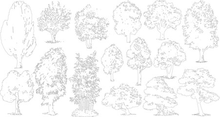 Assortment of detailed black and white line of various trees and bamboo plants, architectural visualization, landscape or naturalistic artistic projects © Pixel Park