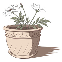 Terracotta Flower Pot Isolated on White, Garden Clay Planter