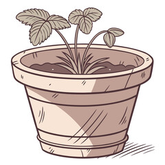 Terracotta Flower Pot Isolated on White, Garden Clay Planter