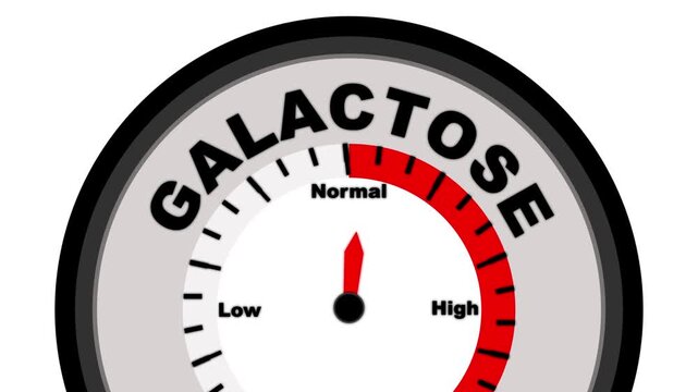 Galactose text with a barometer or tachometer-style gauge, illustrating varying levels of galactose in the body and its effects on metabolism and health