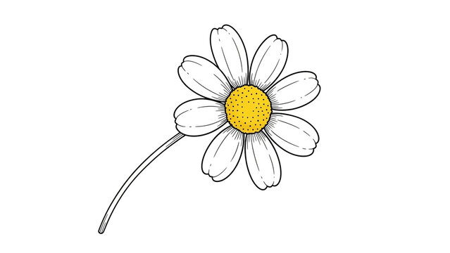 Simple daisy illustration in minimalist style with white and yellow colors on plain background for greeting cards