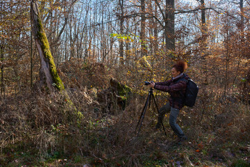 Obraz premium Photographer shooting in autumn forest