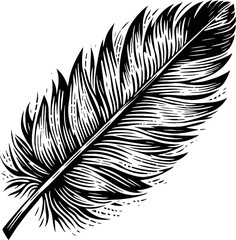 Obraz premium Detailed Black Feather Illustration Against White Background Elegant and Delicate Quill Pen Design