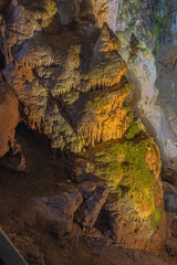 Giant stalactite partially covered with algae and lichen in the Bear Cave, named after the numerous cave bear skeletons