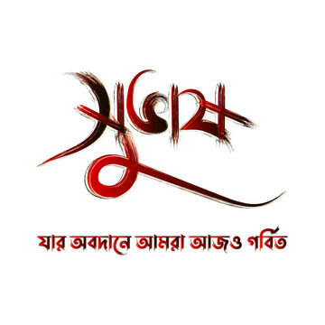Subhash Chandra Bose Bengali Calligraphy Vector Illustration for Netaji Jayanti,  Indian Independence Day and Republic Day Typography