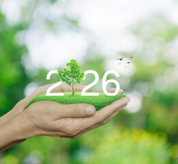2026 white text with growing tree on green grass field in hands over blur tree in park, Happy new year 2026 ecological cover concept