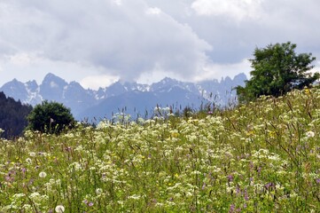 Seefeld in &Ouml;stereich