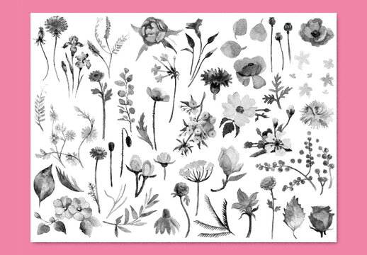 Vector watercolor painted flowers clipart with stipple noise texture effect