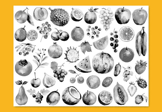 Vector watercolor painted style - fresh fruits clipart with stipple noise texture effect