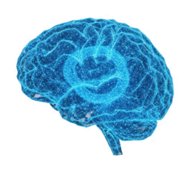 Neuroscience breakthroughs exploring brain functions in digital isolated on transparent background