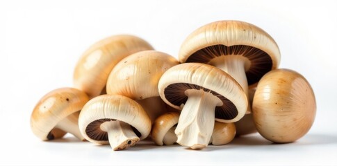 Beautiful bunch of oyster mushrooms, studio shot, pure white backdrop, vegan, organic
