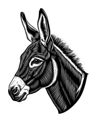 Artistic black and white donkey portrait isolated on transparent background