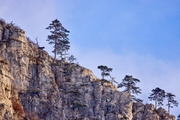 Mountain landscape in the Carpathian Mountains, Romania, Mehedinți, on a snowless winter day.