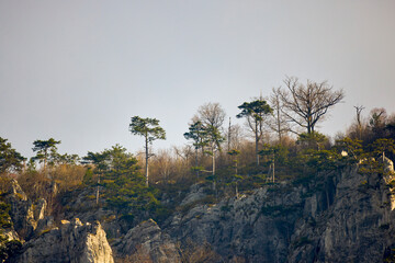 Mountain landscape in the Carpathian Mountains, Romania, Mehedinți, on a snowless winter day.