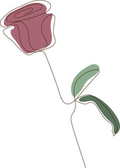 Single line drawing in modern minimalist style of rose flower 