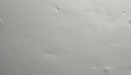 Close-up of smooth gray sand surface with footprints